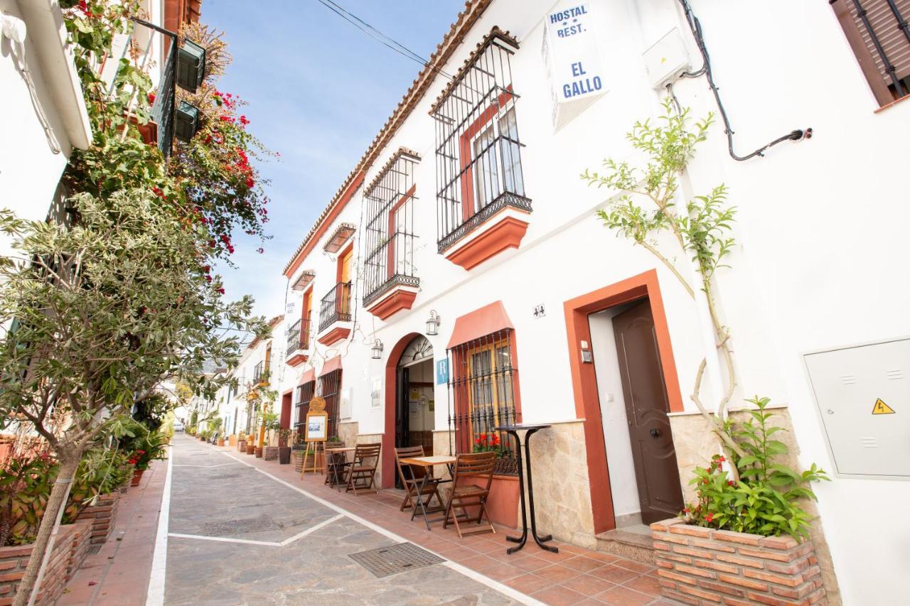Hostal El Gallo Marbella Zewnętrze zdjęcie