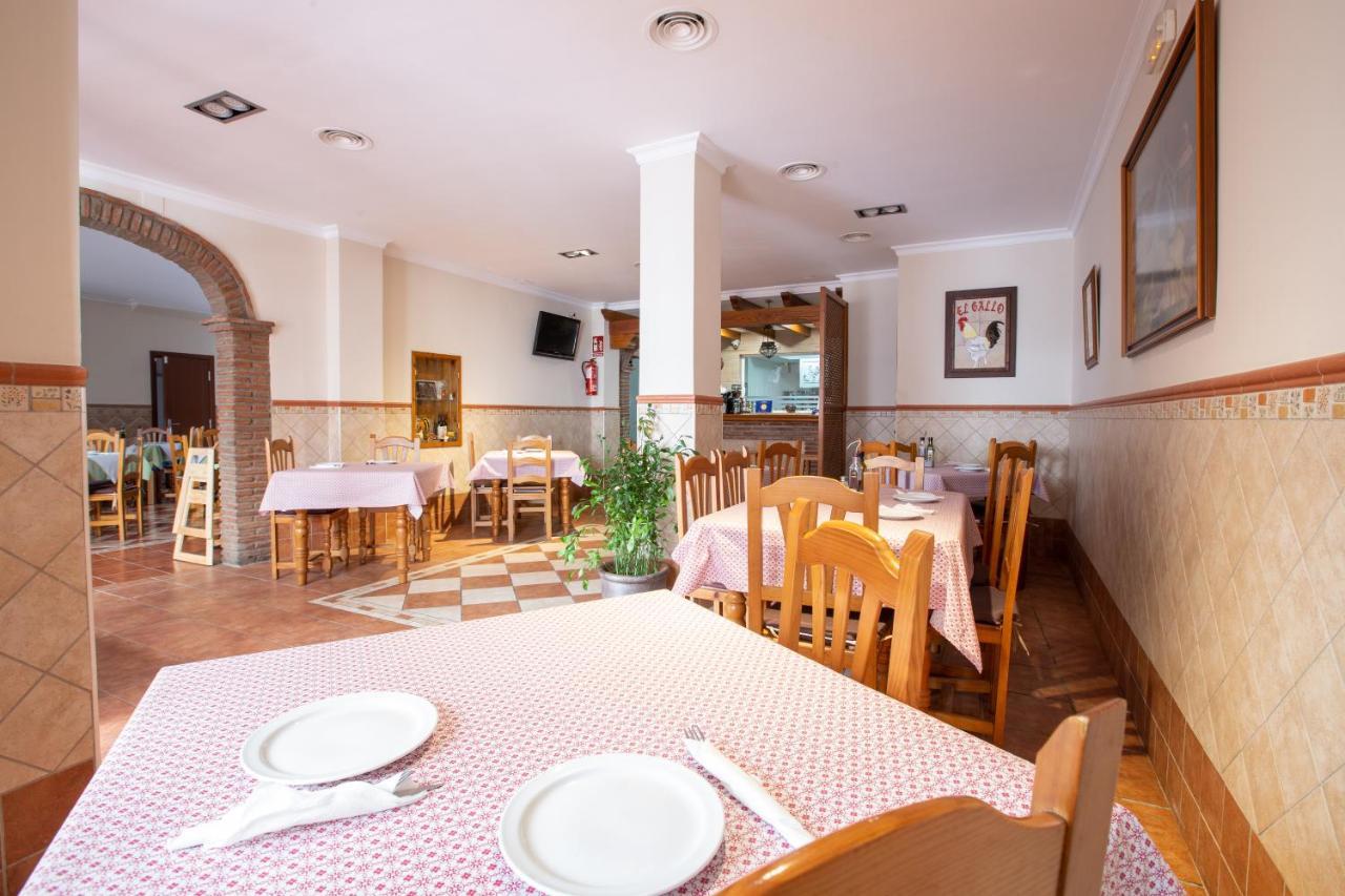 Hostal El Gallo Marbella Zewnętrze zdjęcie